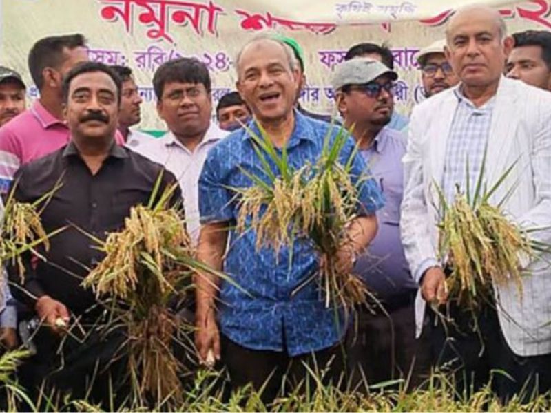 কৃষকের ধান কেনায় সিন্ডিকেট হলে সোজা করে দেবো: কৃষি উপদেষ্টা